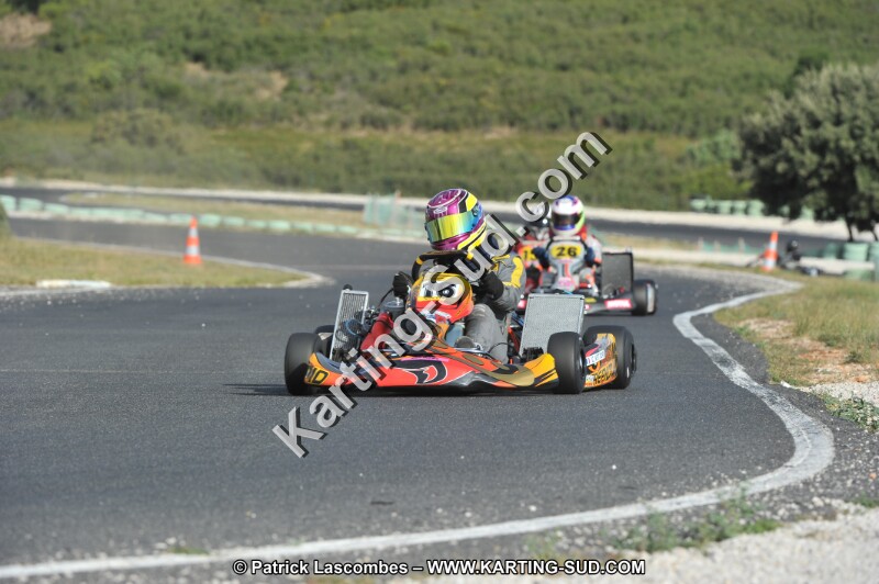 DSC (3997).JPG